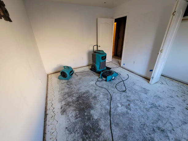 Best 24/7 water damage repair  in Rockville, MN
