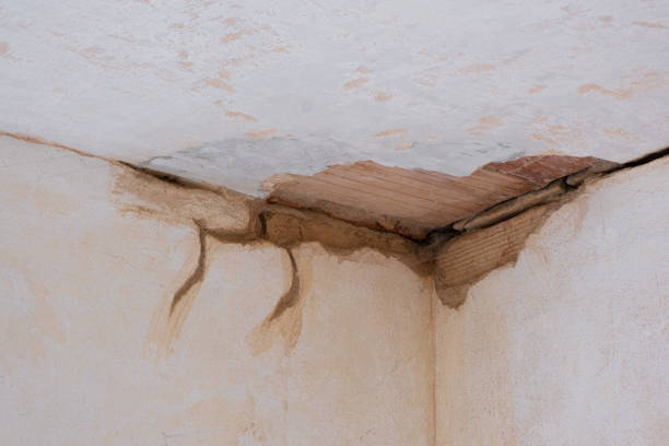 Best Carpet water damage restoration  in Rockville, MN