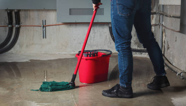 Local water damage restoration in MN