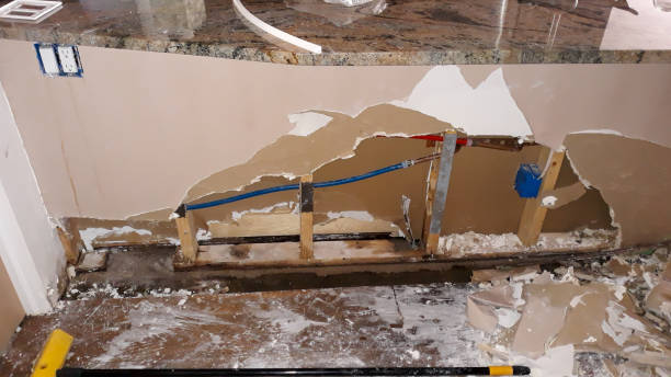 Best Flood damage cleanup  in Rockville, MN