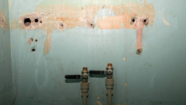Best Emergency water damage restoration  in Rockville, MN
