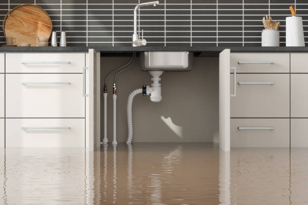 Best Flood restoration services  in Rockville, MN