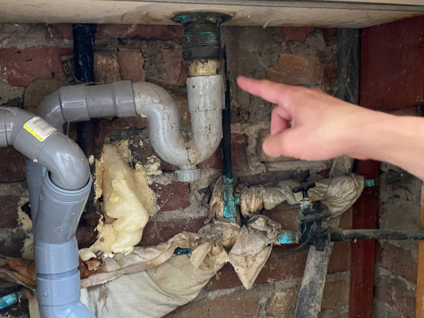 Water damage restoration insurance claims in MN