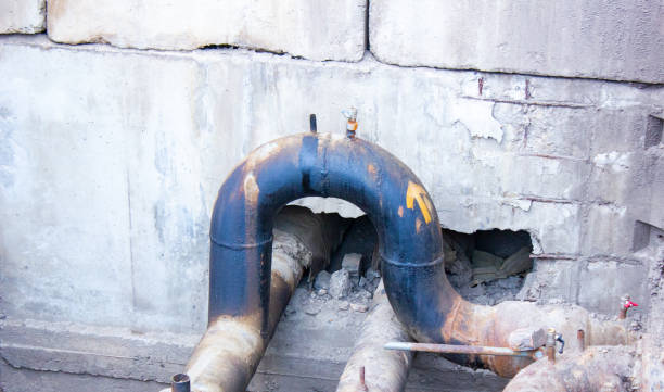 Best Water damage restoration near me  in Rockville, MN