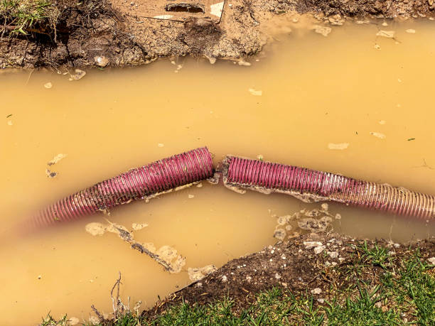 Trusted MN Water damage restoration Experts
