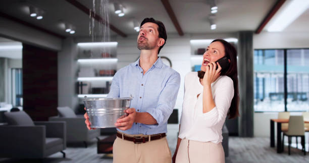 Best Residential water damage restoration  in Rockville, MN