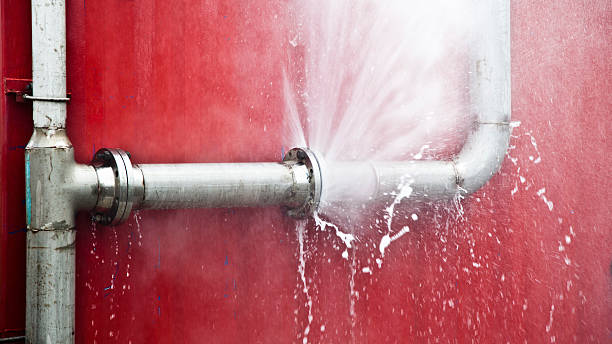 Best Water damage restoration insurance claims  in Rockville, MN