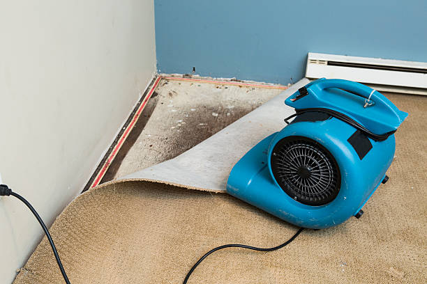 Best Commercial water damage restoration  in Rockville, MN